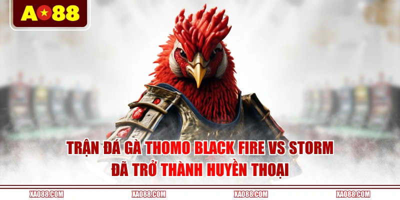 Trận đá gà Thomo Black Fire vs Storm đã trở thành huyền thoại